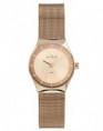 Reloj Classic (SKAGEN KLASSIK)